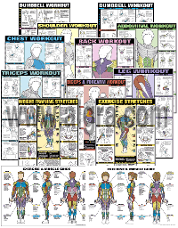 Complete Workout Series Posters