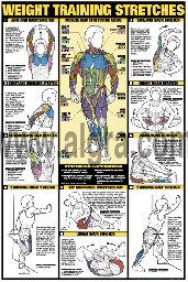 NFC10 - Weight Training Stretches