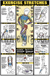 Exercise Stretches Poster