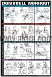 Dumbbell Chest & Arm Workout Poster