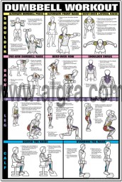 Dumbbell Shoulder, Back, & Leg Workout Poster