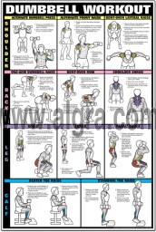 Shoulder and back workout dumbbells deals