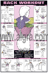 Male Back Workout Poster