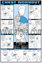 Chest Workout Poster