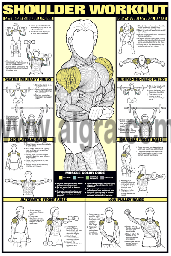 Shoulder Workout 24 X 36 Laminated [Misc.] : : Sports & Outdoors