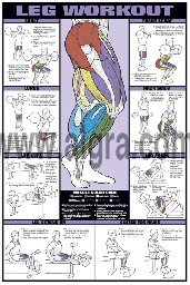 Leg Workout Poster