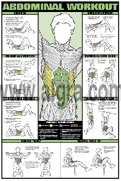 Abdominal Workout Poster