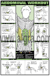 Abdominal Workout Poster by Bruce Algra