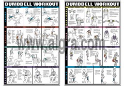 Dumbbell Workout Poster Set By Bruce Algra