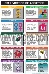 Risk Factors of Addiction 8 1/2 x 11 Color Transparency