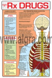 Dangers of Prescription Drugs Poster