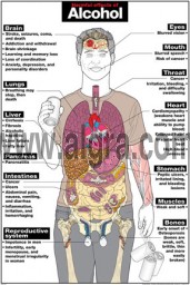 Harmful Effects of Alcohol Poster