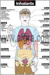 Harmful Effects of Inhalants Poster