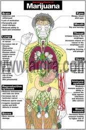 Harmful Effects of Marijuana Poster