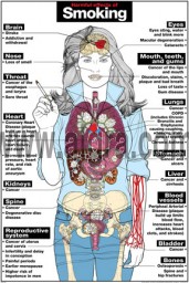 Harmful Effects of Smoking Poster