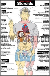Harmful Effects of Steroids Poster