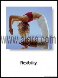 Flexibility Poster