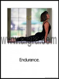 Endurance Poster