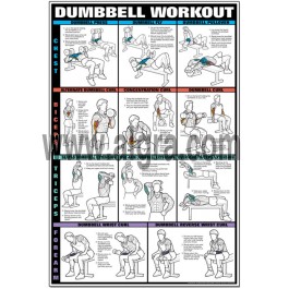 Arm and pec workout shop