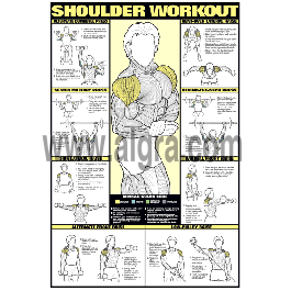 Shoulder Workout 24 X 36 Laminated Misc.