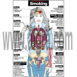 hawken chewing tobacco Hawken