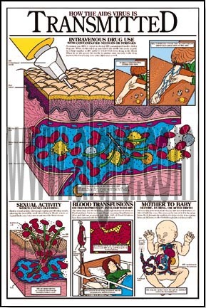 How the Aids Virus is Transmitted Grades 5-9 Poster