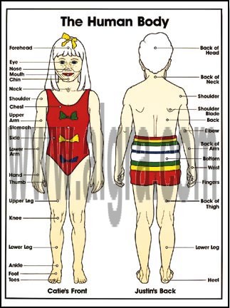 Child Body Poster