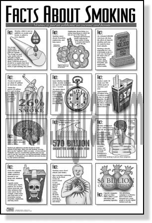 Smoking Facts Study Sheets