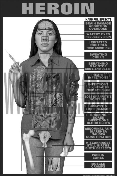 Heroin Education Study Sheet