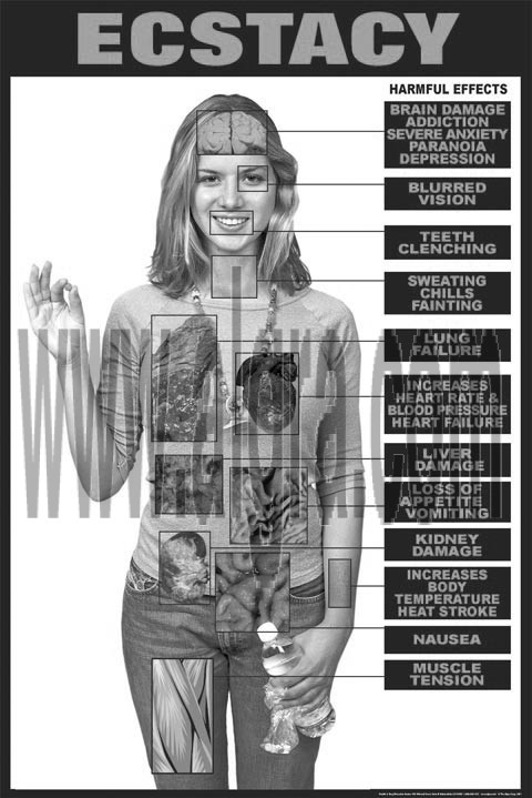 Ecstasy Education Study Sheets