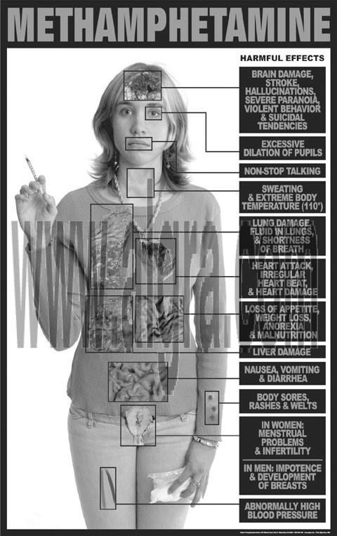 Methamphetamine Education Study Sheets