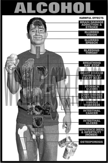 Alcohol Education Study Sheet