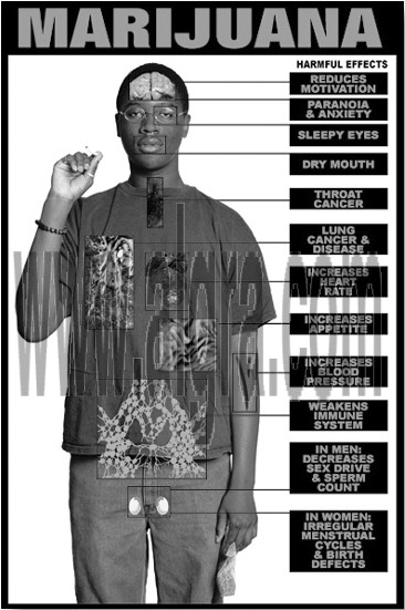 Marijuana Education Study Sheets