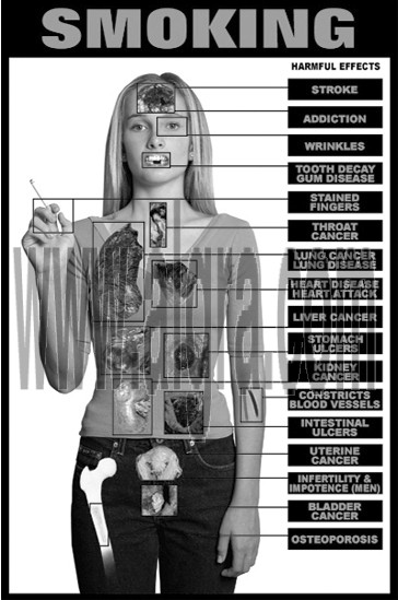 moking Education Study Sheets