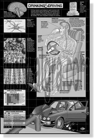 Drinking & Driving Study Sheets