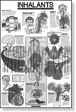 Harmful Effects of Inhalants Study Sheets
