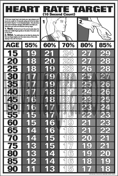 Ten Second Heart Rate Study Sheets