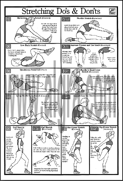 Stretching Education Study Sheets