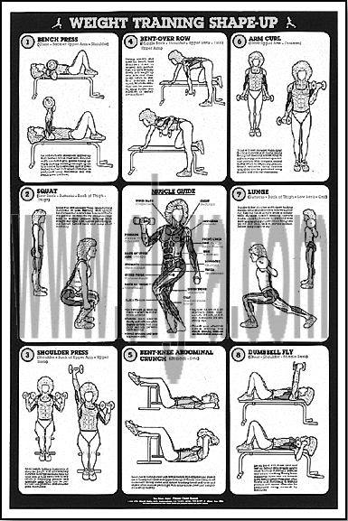 Weight Training Study Sheet