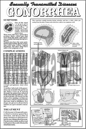 Gonorrhea Study Sheet