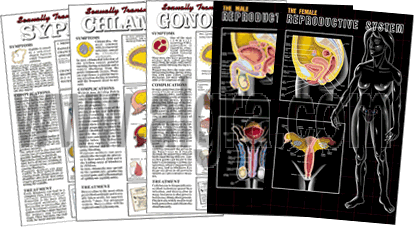Complete Sex Education Poster Series