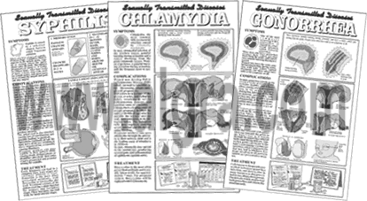 Complete Sexually Transmitted Diseases Study Sheets Series