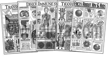 HIV & Aids Complete Study Sheet Series