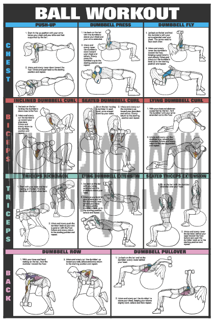 Swiss Ball Workout Poster I