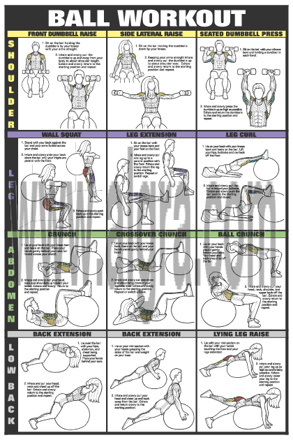 Swiss Ball Workout Poster II