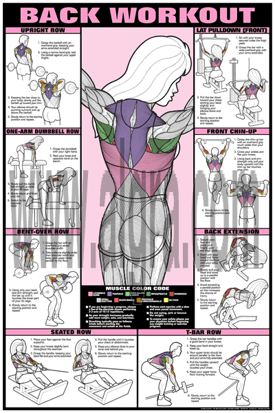 Female Back Workout Poster