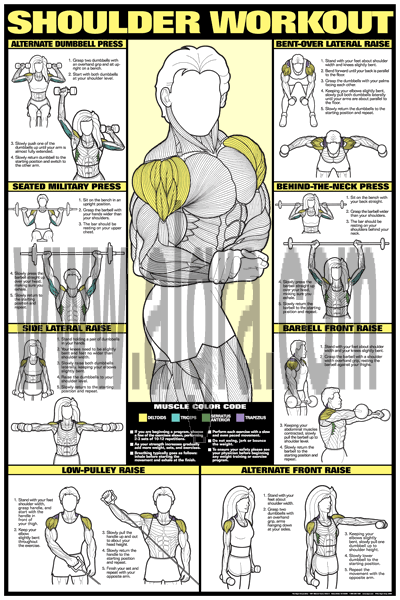 Shoulder Workout Poster