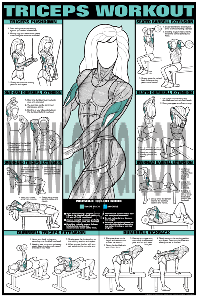 Co-Ed Triceps Workout Poster