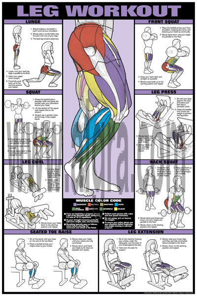 Leg Workout Poster