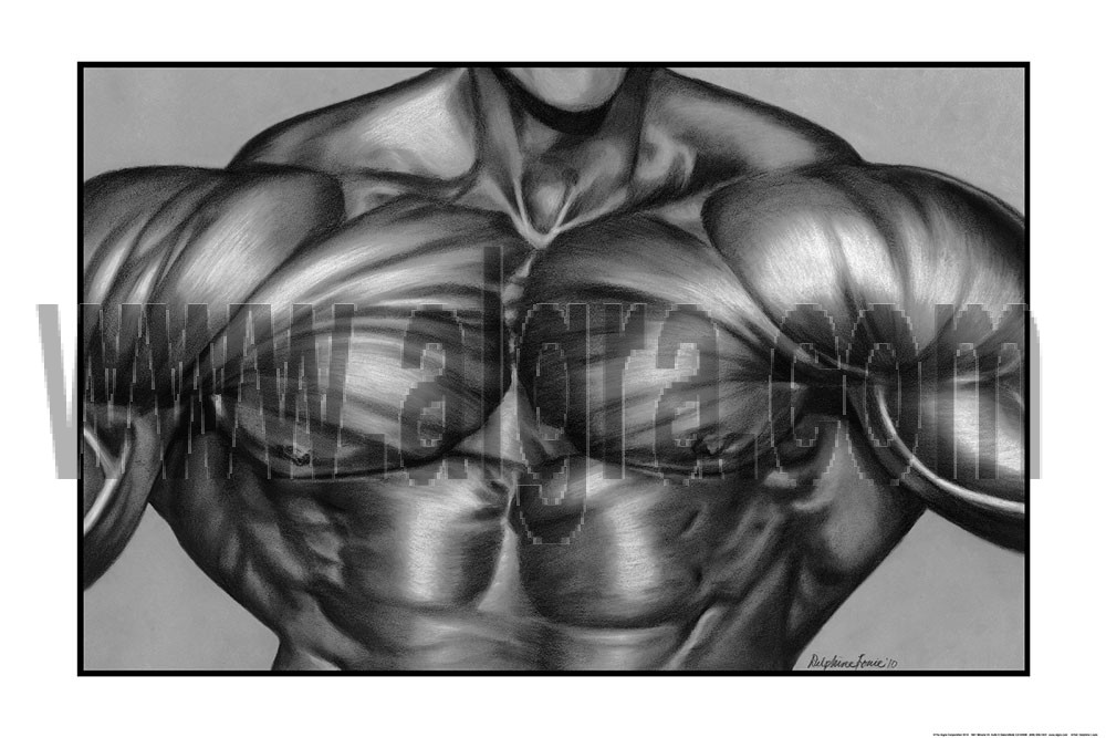Chest Muscle Poster